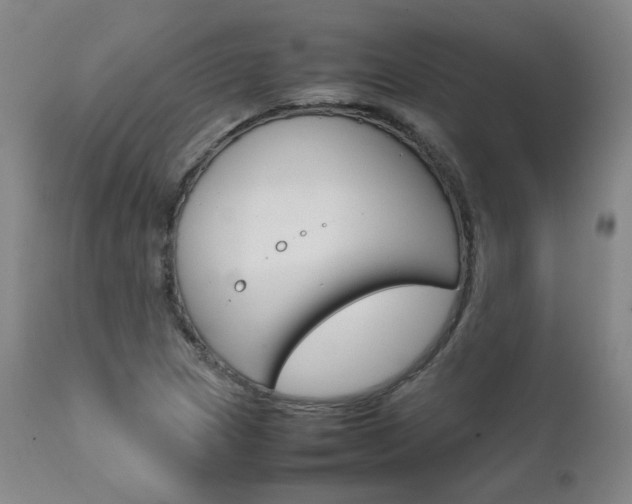 X0000111631217200907171120