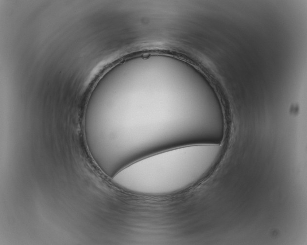 X0000111631218200907171120