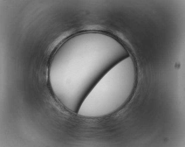 X0000111631221200907171120