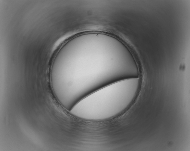 X0000111631222200907171120