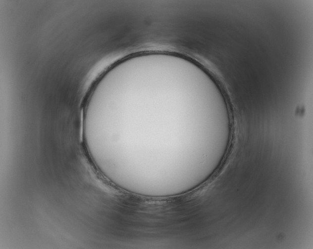 X0000111631223200907171120