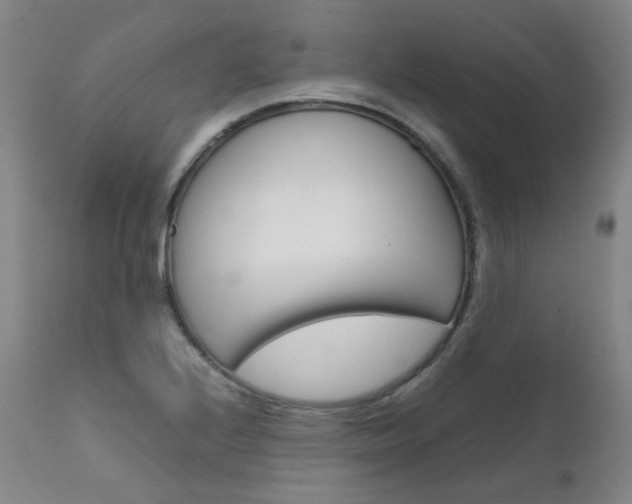 X0000111631224200907171120