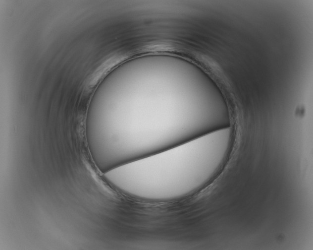 X0000111631225200907171120