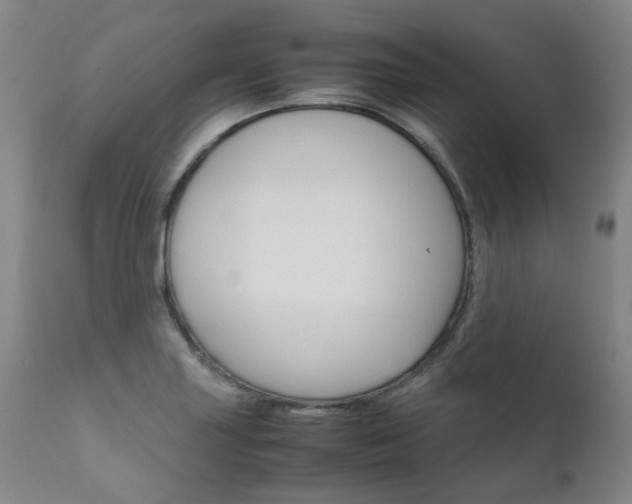 X0000111631227200907171120