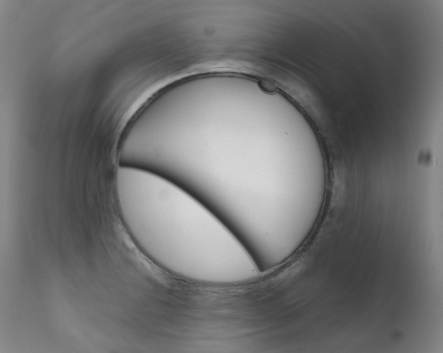 X0000111631228200907171120