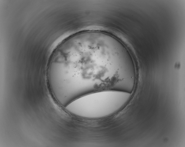 X0000111631229200907171120