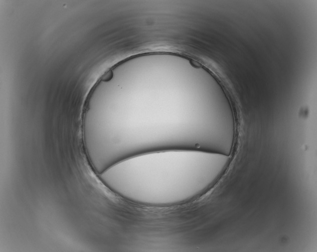 X0000111631236200907171121