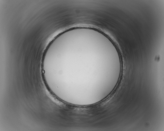 X0000111631237200907171121