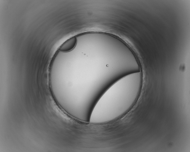 X0000111631238200907171121