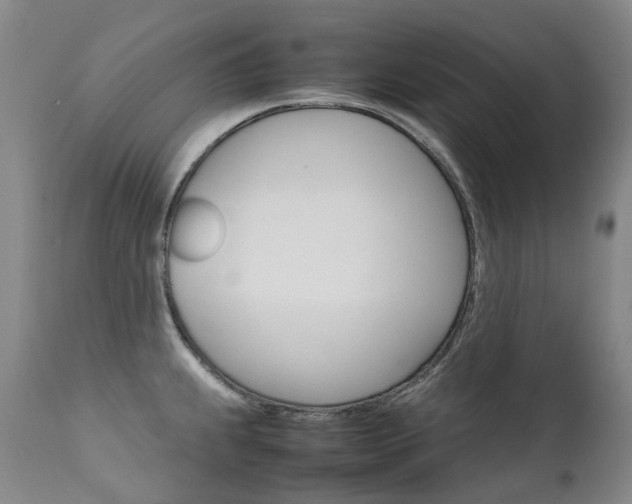 X0000111631239200907171121