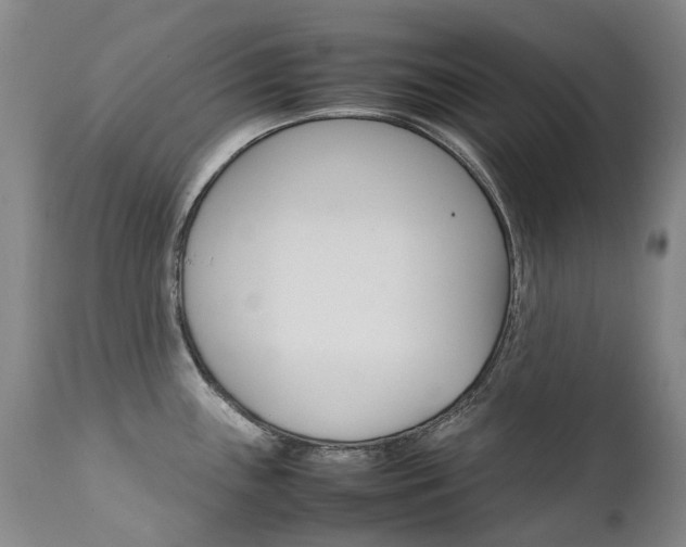 X0000111631243200907171121