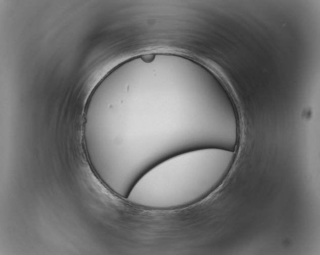 X0000111631244200907171121