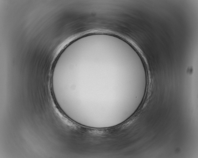 X0000111631245200907171121