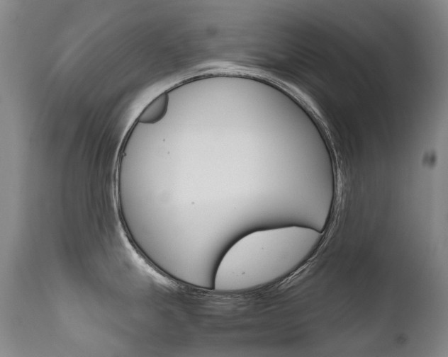 X0000111631247200907171121