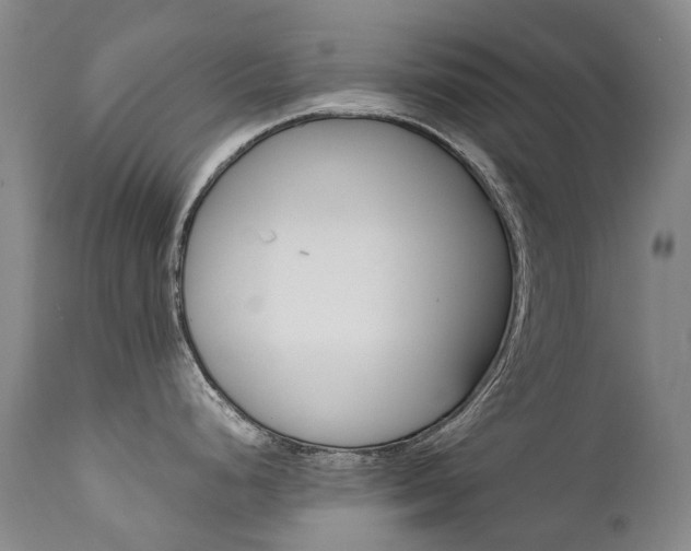 X0000111631248200907171121