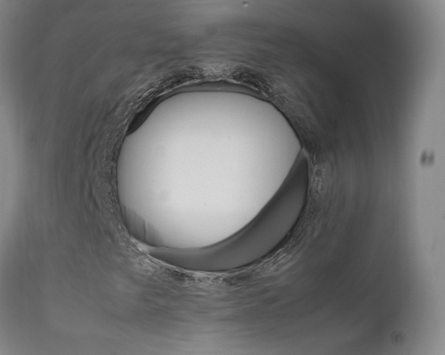 X0000111631249200907171120
