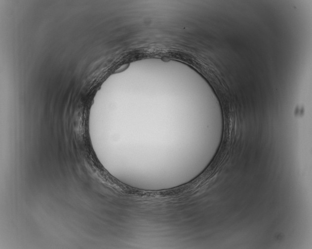 X0000111631250200907171120