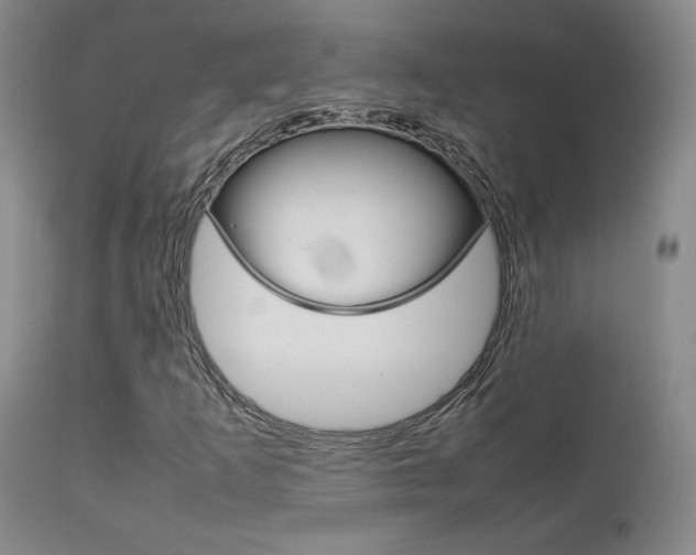 X0000111631253200907171120