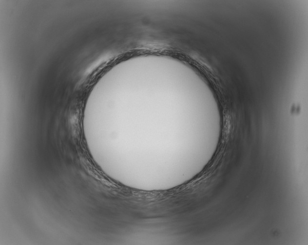 X0000111631254200907171120
