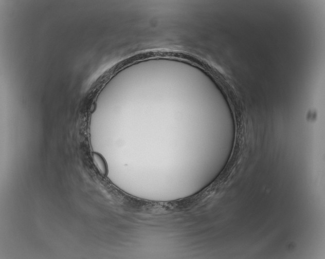 X0000111631255200907171120