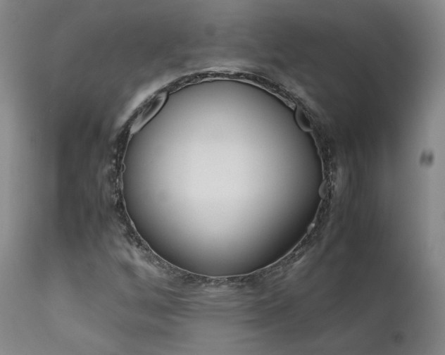 X0000111631256200907171120