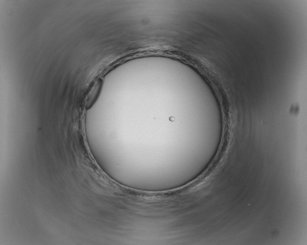 X0000111631257200907171120