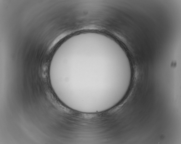 X0000111631258200907171120