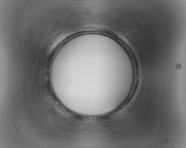 X0000111631259200907171120