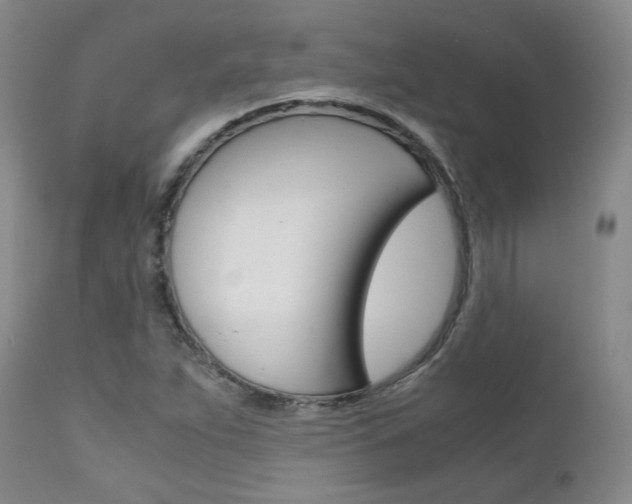X0000111631263200907171120
