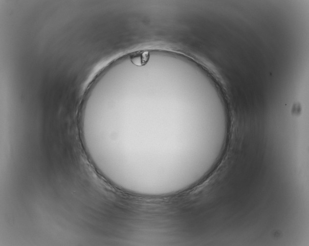 X0000111631264200907171120