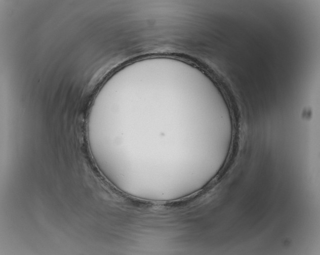 X0000111631265200907171120