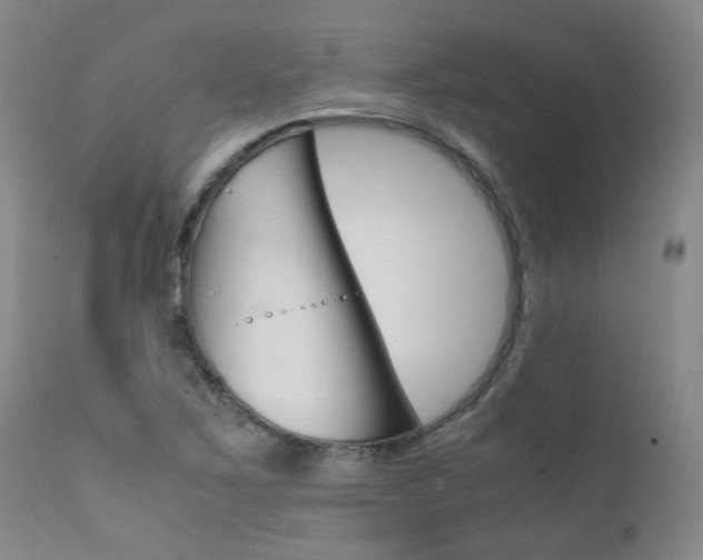 X0000111631267200907171120