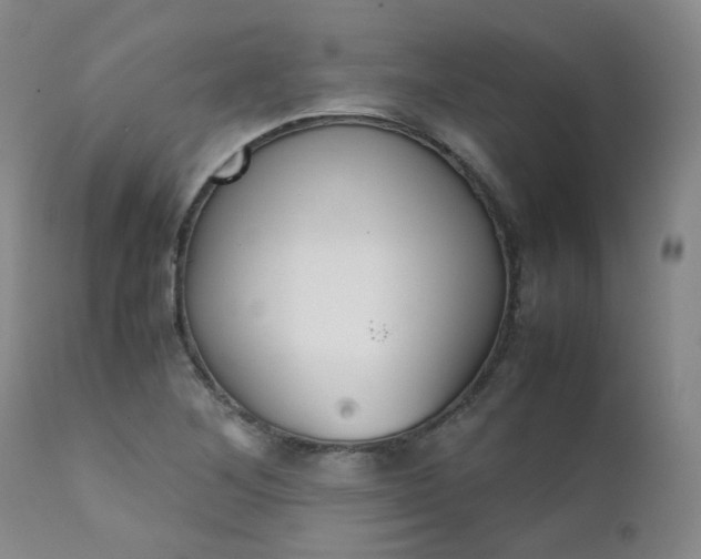X0000111631268200907171120