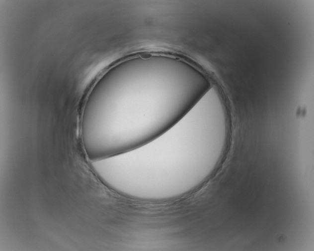 X0000111631269200907171120