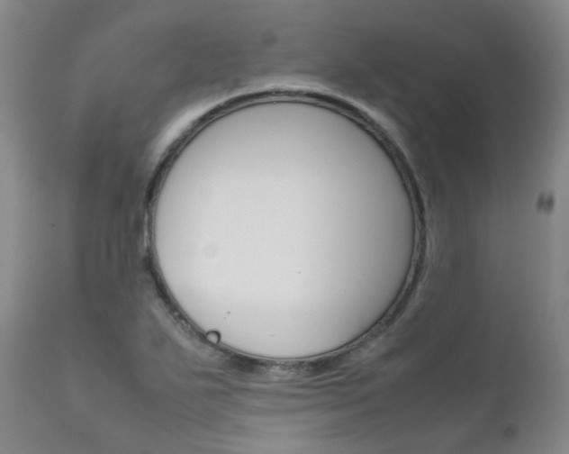 X0000111631271200907171120