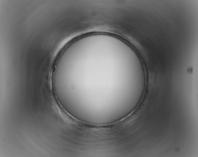X0000111631272200907171120