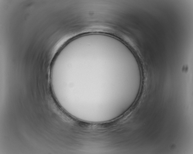 X0000111631275200907171120