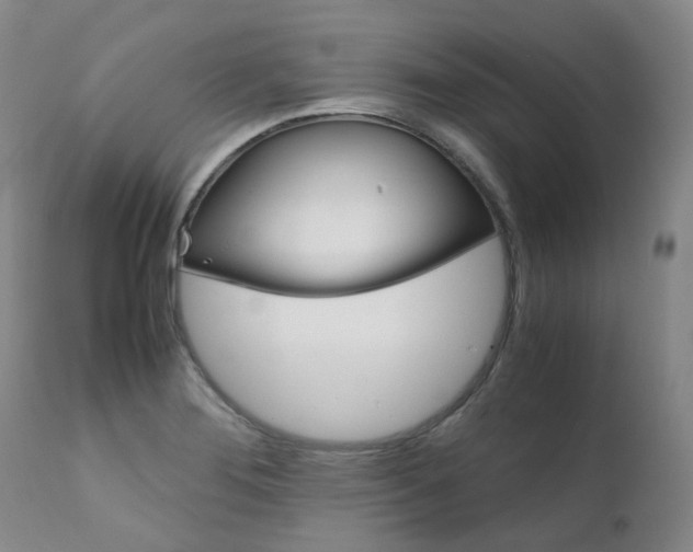 X0000111631276200907171120