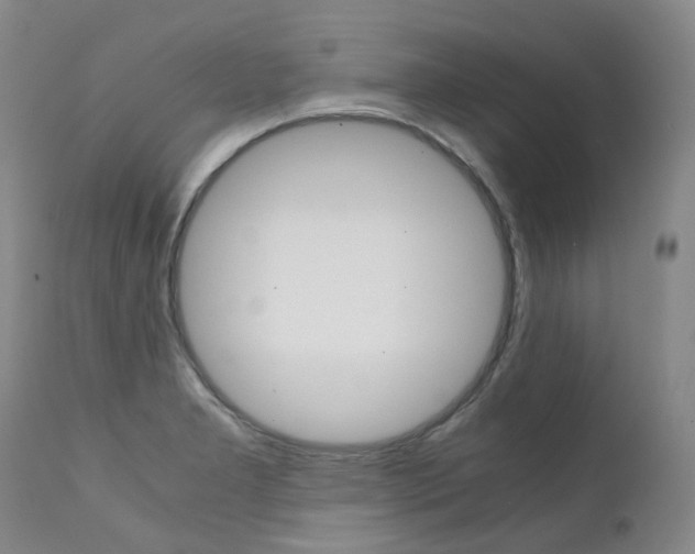 X0000111631277200907171120