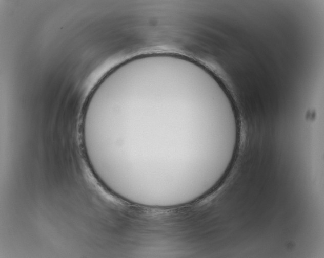 X0000111631278200907171120