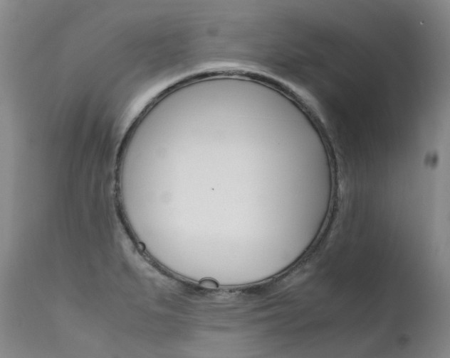 X0000111631279200907171120