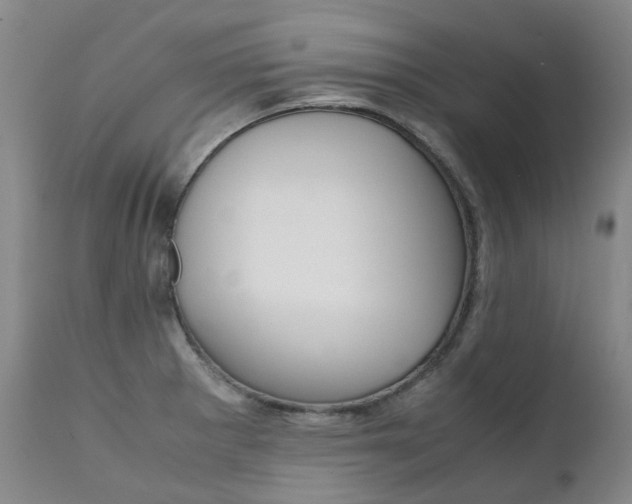 X0000111631281200907171120