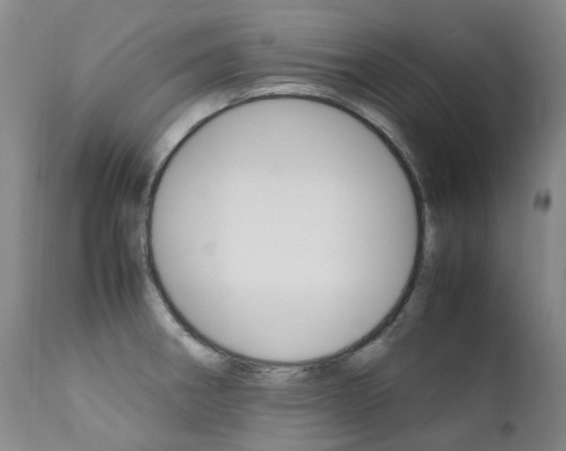 X0000111631282200907171120