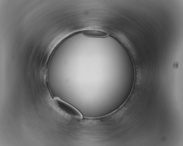 X0000111631284200907171120