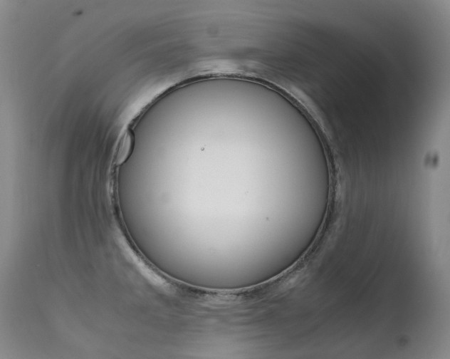 X0000111631285200907171120