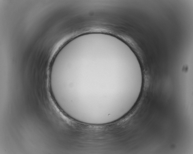 X0000111631286200907171120