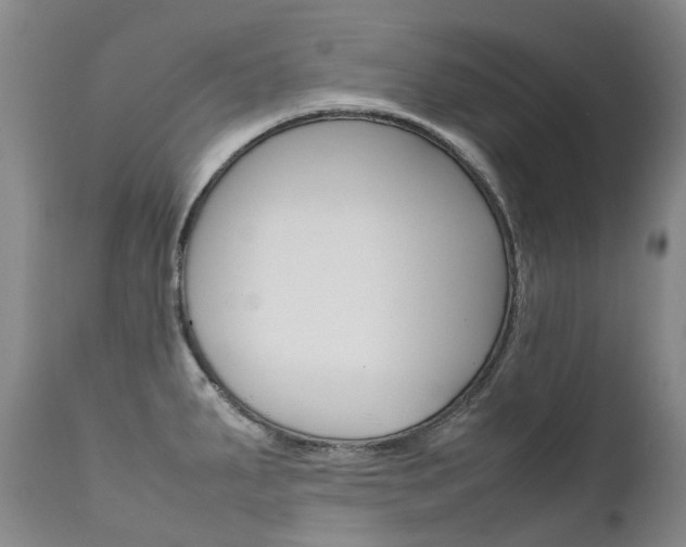 X0000111631287200907171120