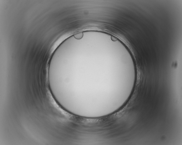 X0000111631290200907171120