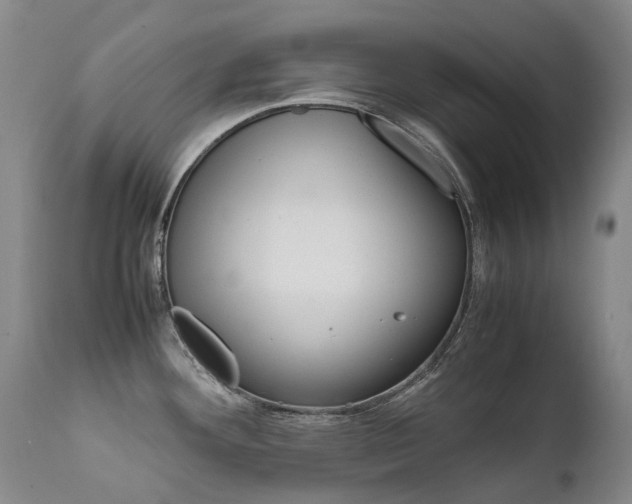 X0000111631292200907171119