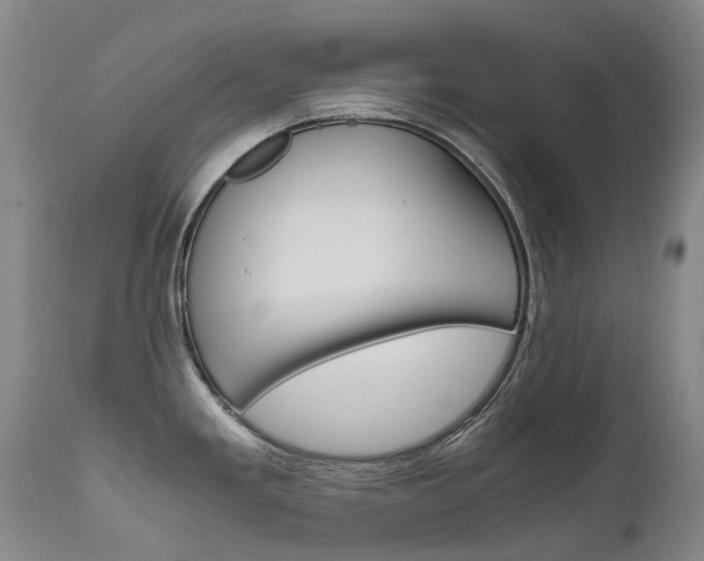X0000111631293200907171119